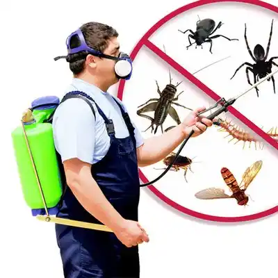 pest control Ada